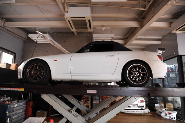 140503 koguma 1 DSC_3455.jpg